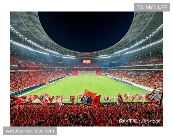 通讯：专业足球场优势？看成都蓉城主场如何成为“保级堡垒”